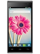 Iris 504q+