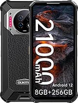 WP19